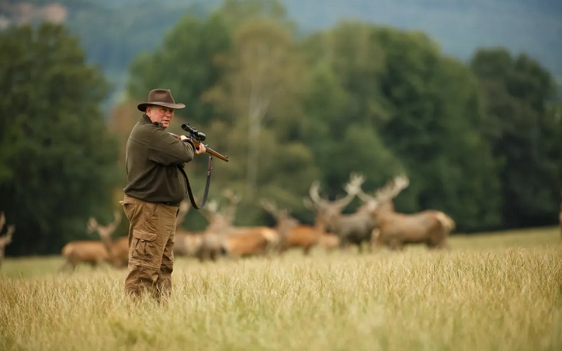 Make Your Own Hunting Regulations