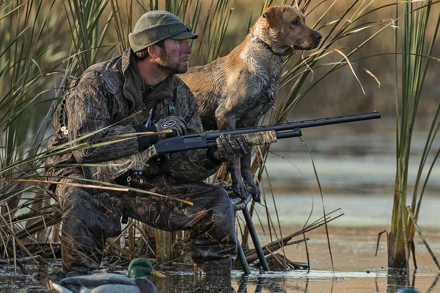 12 Best Hunting Dogs