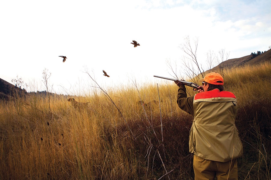 Tips For Bird Hunting
