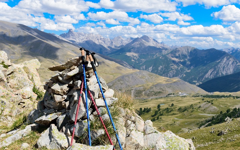 Hiking Poles