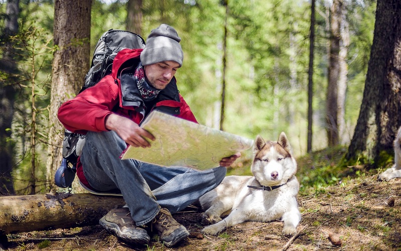 hiking with dogs