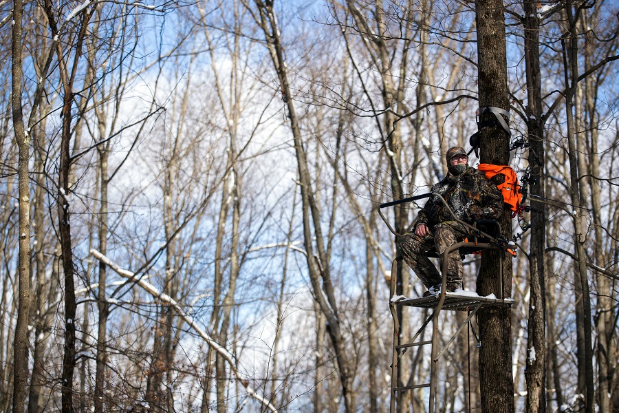 Hunt from Above: Unveiling the Secrets And Tips On Tree Stand Hunting