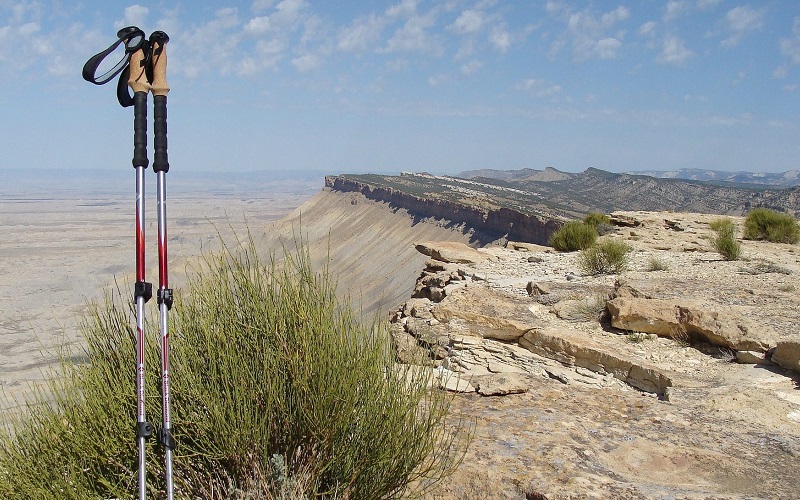 Types Of Trekking Poles