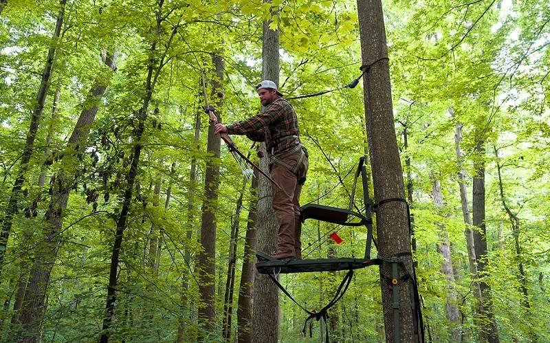 What Are The Different Types Of Tree Stands?
