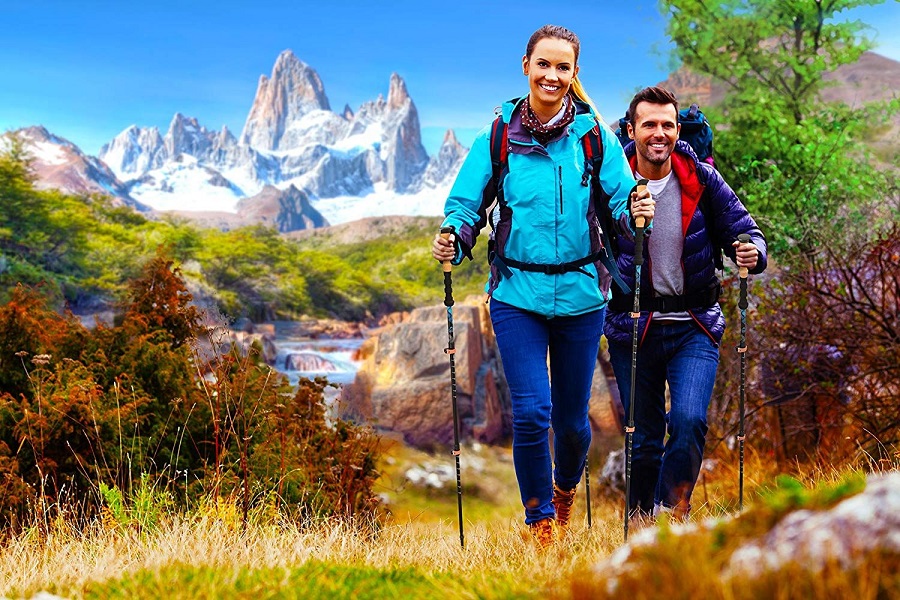 Hiking Poles: Empower Your Hike With The Best Poles For Stability