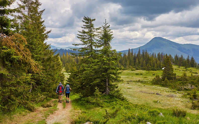 The Best Hiking Trails For Beginners