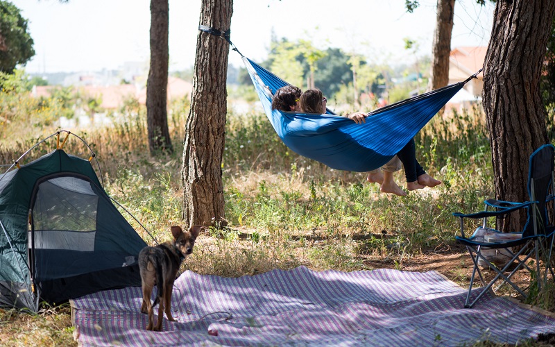 Why Hammocks Are the Smarter Choice