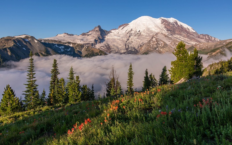 Mount Rainier, Washington, USA